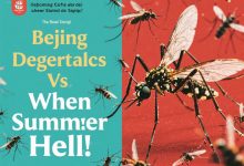 Beijing Residents vs. The Mosquito Invasion: A Real Story-dafenzhijia